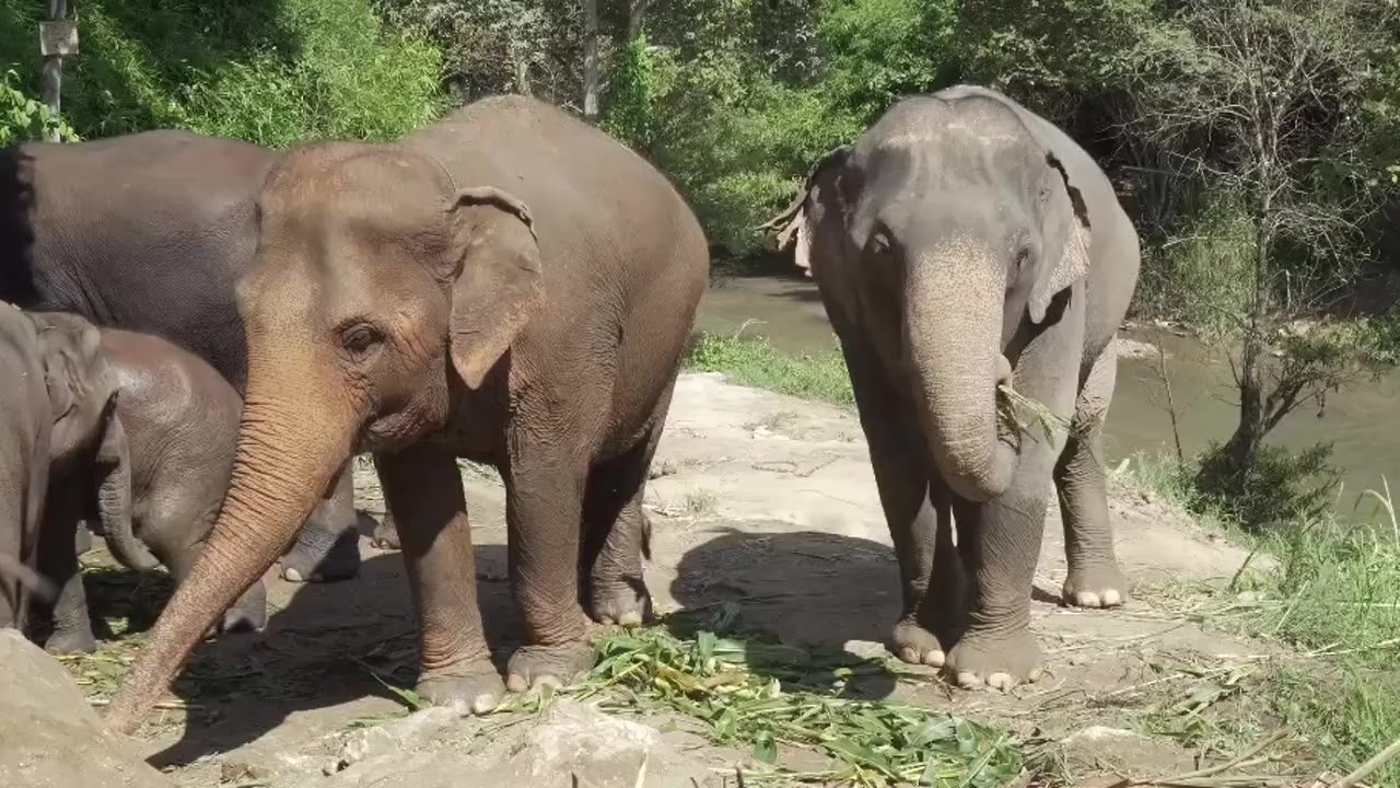 Bali, Indonézia