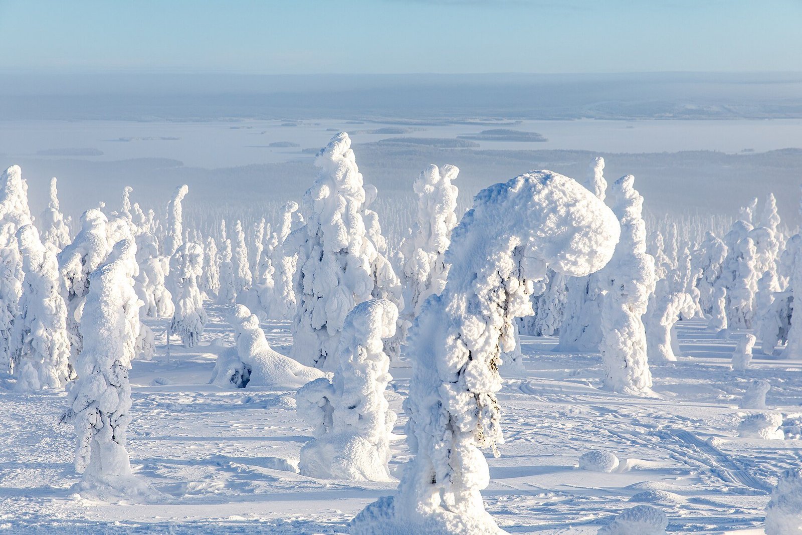 Lappland — eine winterliche Woche zur Weihnachtszeit