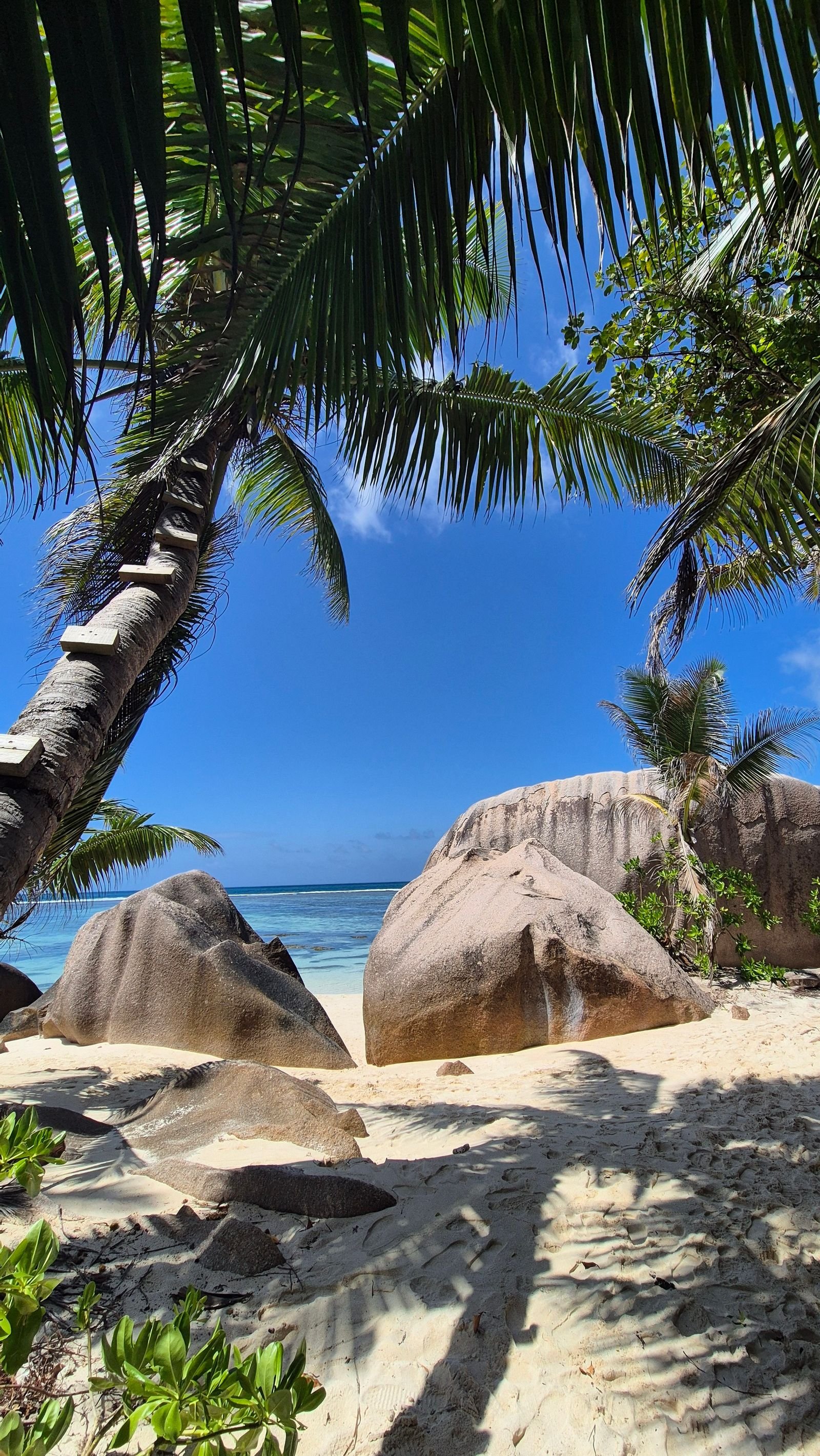 Seychellen, Seychellen