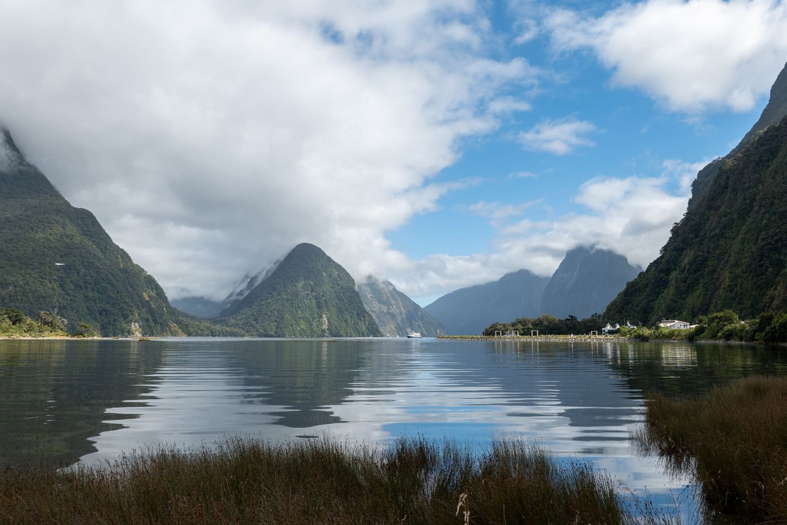 Neuseeland, Neuseeland