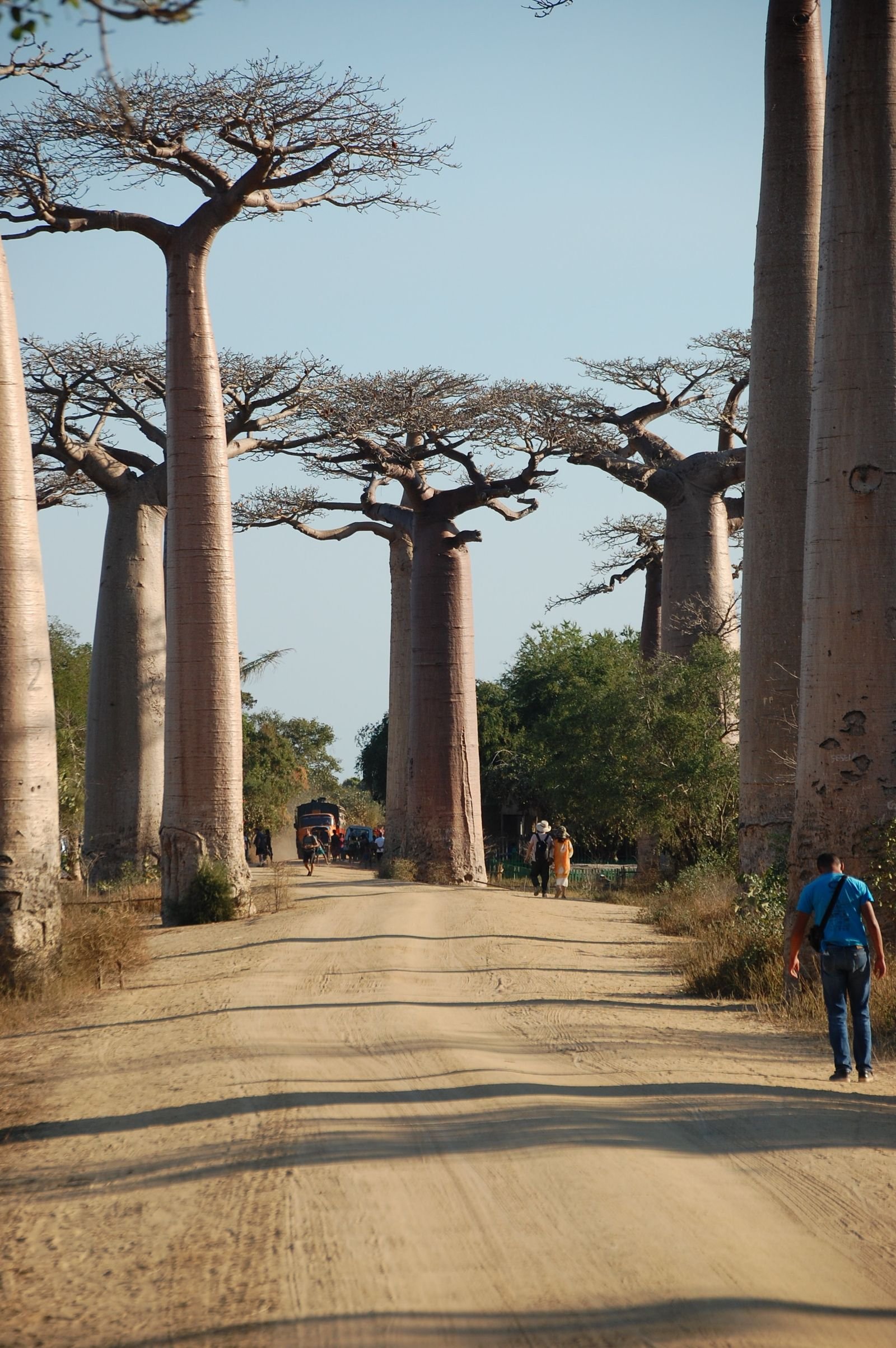 Madagaskar, Madagaskar